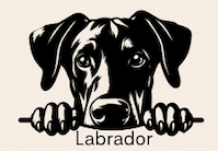 Personalized Beware Of Dog Breed Metal Art Sign
